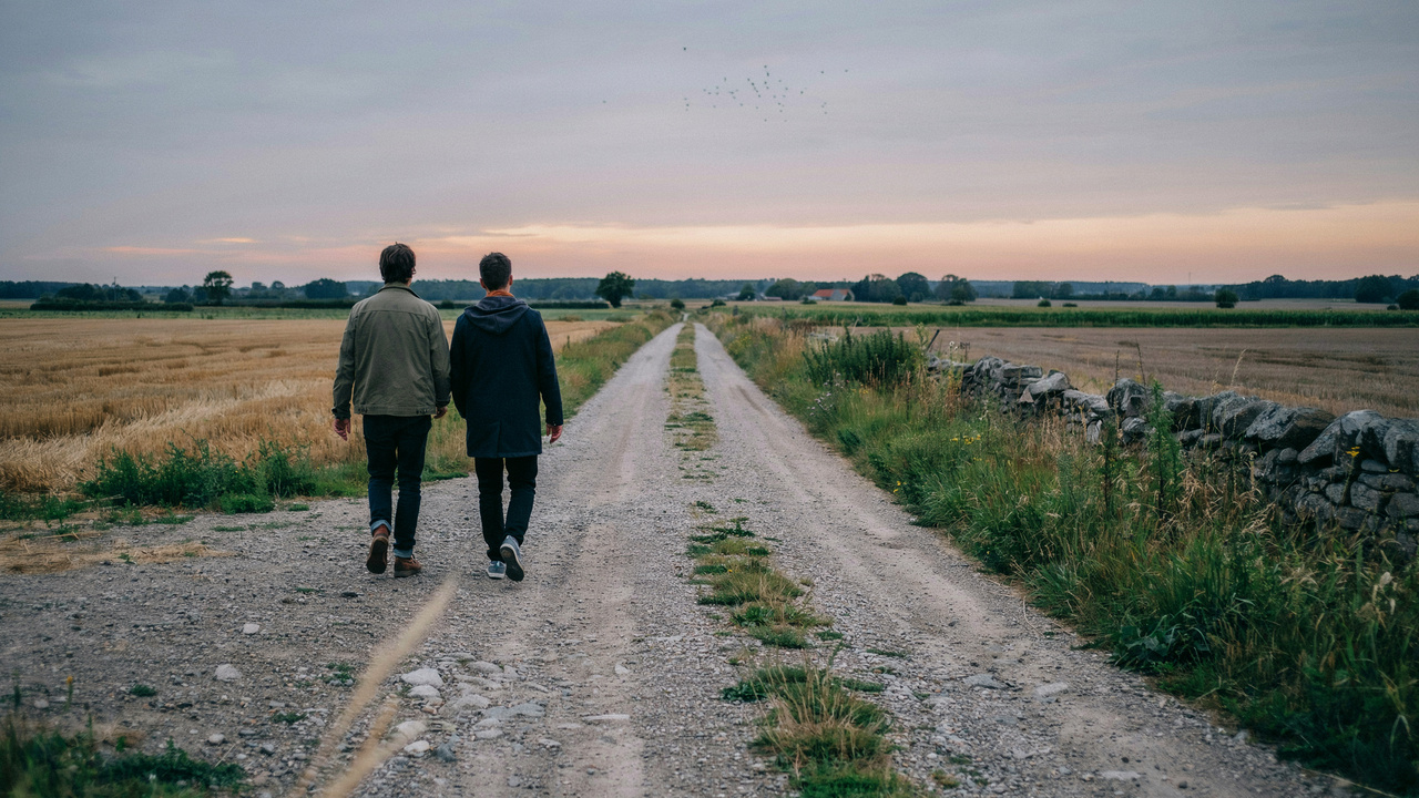 Two people walking side by side along a quiet road at dusk representing support and shared journey